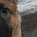 поговоримо
