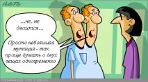 социалните пари