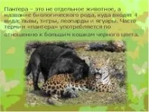 големи големи