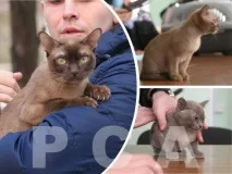 клуб клуб
