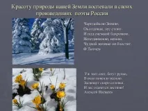 красива нашата