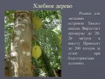 презентация планета