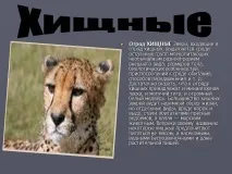 Презентація на тему - Загони ссавців - з Біології для 7 класу загони