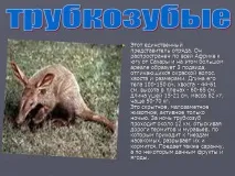 Презентація на тему - Загони ссавців - з Біології для 7 класу загони