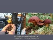 презентация нашата