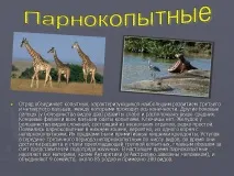Презентація на тему - Загони ссавців - з Біології для 7 класу ссавців