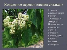 красива планета