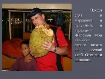 красива красива