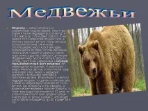 Презентація на тему - Загони ссавців - з Біології для 7 класу ссавців