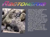 Презентація на тему - Загони ссавців - з Біології для 7 класу ссавців