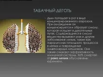 презентация защо