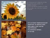 презентация красива