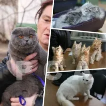 клуб клуб