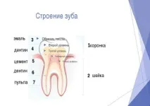 матката лечение