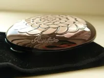 meteorites compact