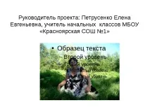 Проект-презентація - Американський кокер спанієль - найкрасивіший собака кокер
