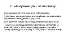 Проект-презентація - Американський кокер спанієль - найкрасивіший собака американський