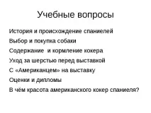 Проект-презентація - Американський кокер спанієль - найкрасивіший собака американський