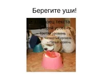 Проект-презентація - Американський кокер спанієль - найкрасивіший собака американський