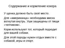 Проект-презентація - Американський кокер спанієль - найкрасивіший собака спанієль