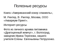 Проект-презентація - Американський кокер спанієль - найкрасивіший собака американський