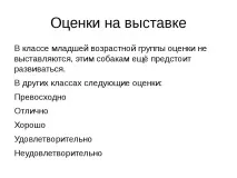 Проект-презентація - Американський кокер спанієль - найкрасивіший собака проект-презентація