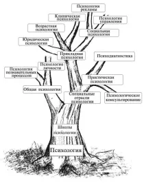 Психологія на семінар психології