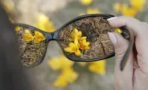 Різний зір чоловіків і жінок чи чому ми бачимо світ по-різному Факти - Поради та факти чоловіків