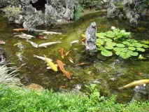 развъждане други