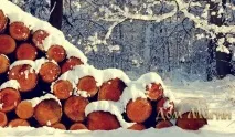 Різдвяні ворожіння на долю та на нареченого різдвяні