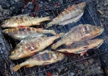 риболовът като