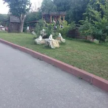 українське