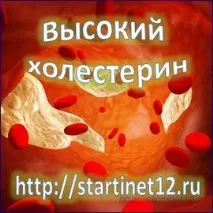 Роль холестерину в організмі людини роль