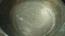 прости мастика