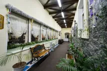 уебсайт цената