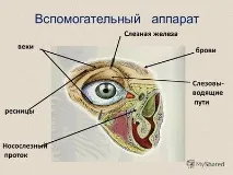 збулася