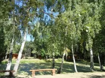 лікування