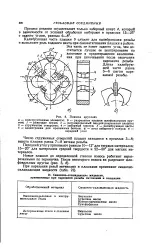 Калібруюча частина - плашка - Велика Енциклопедія Нафти та Газа велика