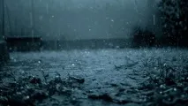 сонник