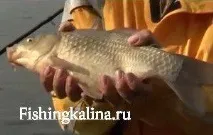 риболов