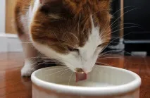 Котушка Тесла з госпмагу госпмагу