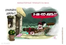 принцеси джобни