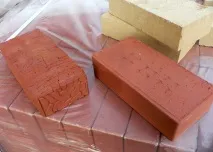 вили тухлени