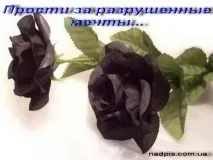 забавни забавни