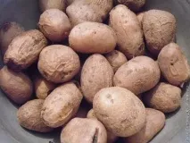 картопляний