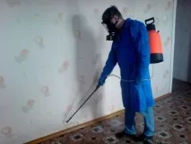 Знищення тарганів туманом холодним або гарячим,чи бояться вони холоду і за якої температури тарганів