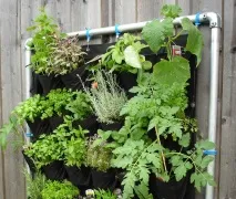 Urban garden як ментальна потреба У квартирі також можна зробити грядки urban