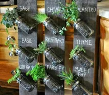 Urban garden як ментальна потреба У квартирі також можна зробити грядки garden