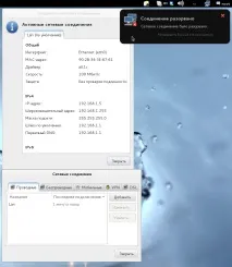 flash плейър