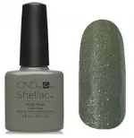 shellac coat